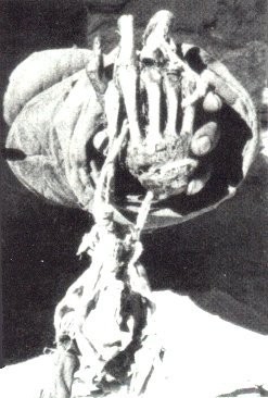 rules for yeti the Pangboche Hand