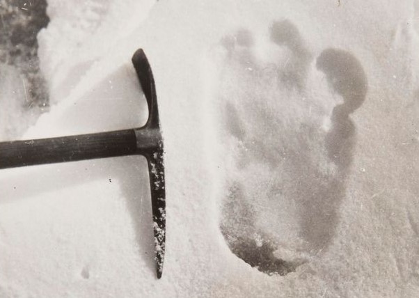 rules yeti footprint 1951