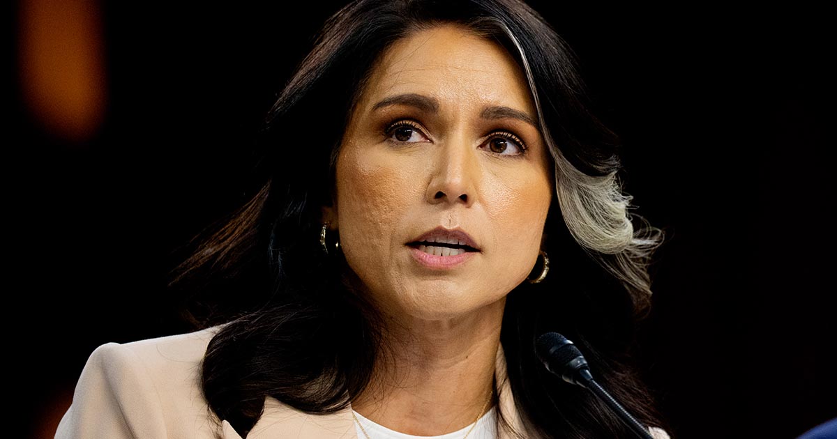 getty tulsi gabbard veteran politician