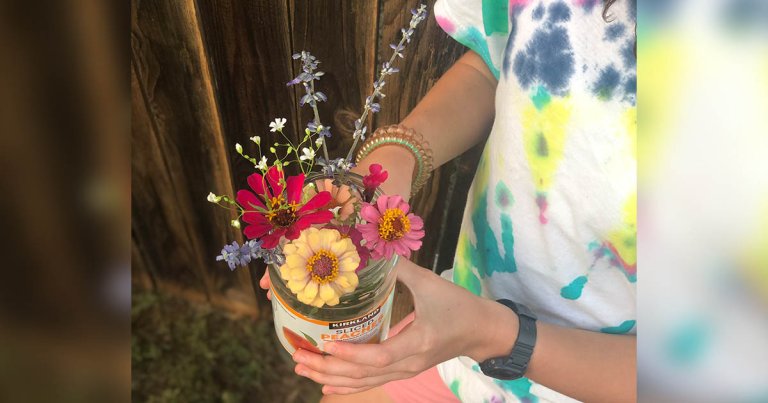 Summer of Savings 2 author