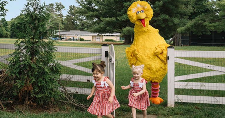 sesame street milirary families big bird
