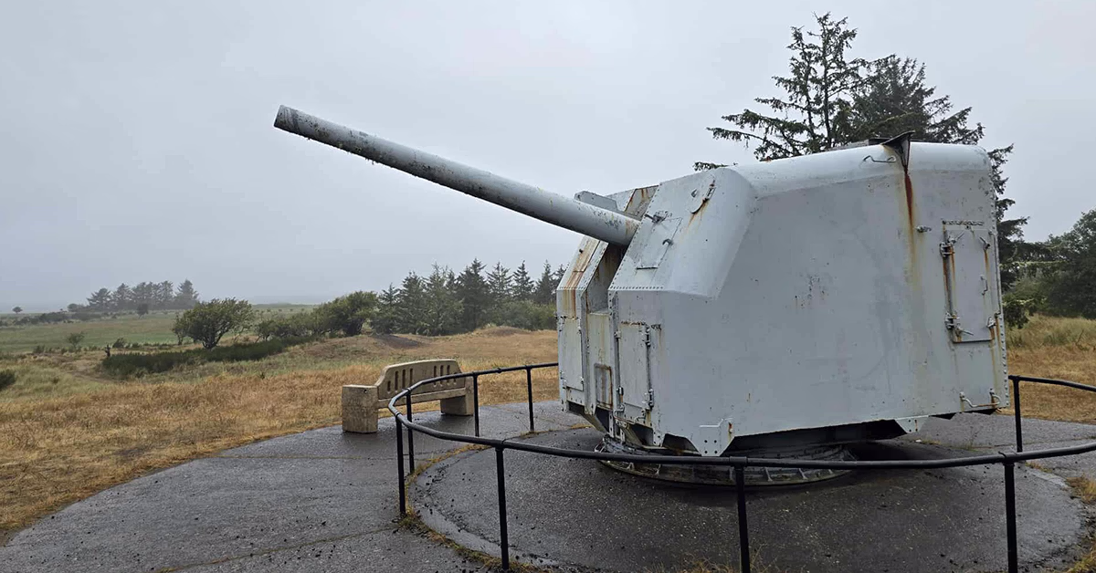 fort stevens guns author