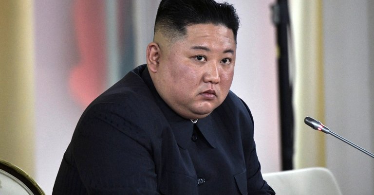 kim jong un north korea suicide rate