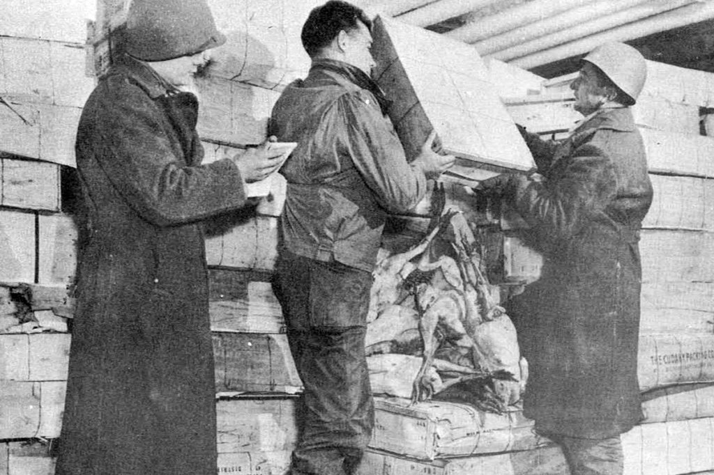 military thanksgiving wwII turkey army