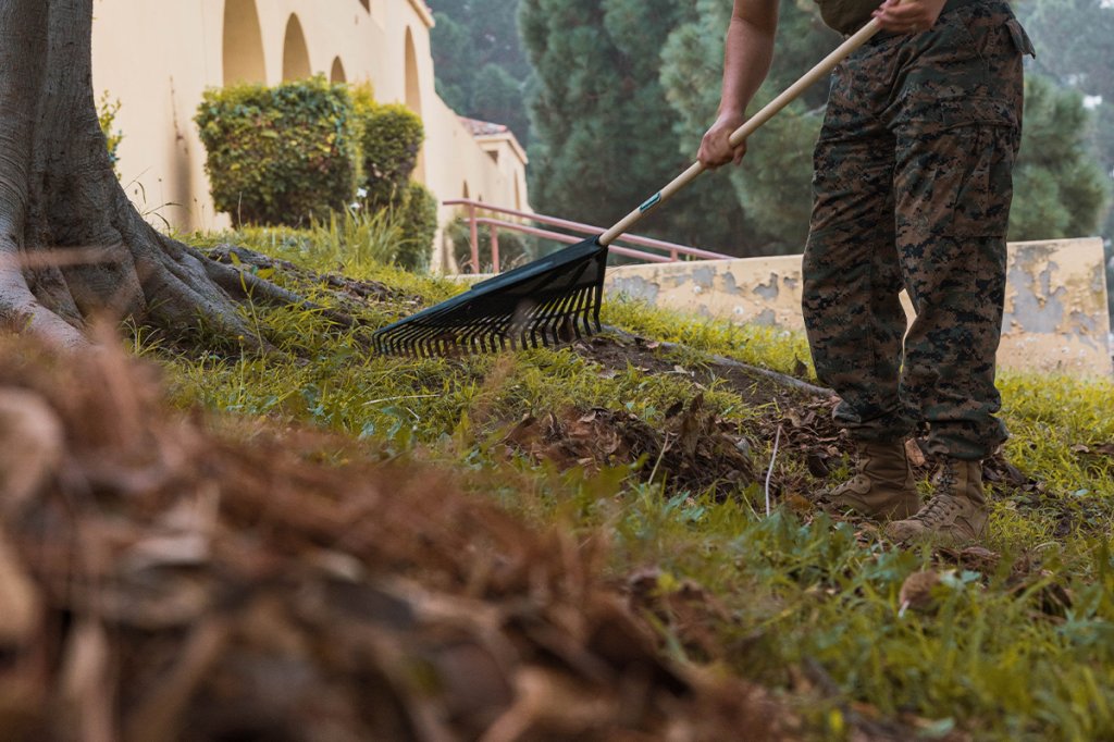 U.S. Marine Corps Lance Cpl. Vincente Jimenez, a supply administrator and operations specialist with Headquarters and Service Battalion, Marine Corps Recruit Depot San Diego, rakes the lawn during the Headquarters and Service Battalion Operation Clean Sweep at MCRD San Diego, California, Oct. 21, 2025. Operation Clean Sweep is a semi-annual event conducted to set the foundation for sustained improvements in operational and personal readiness by educating Marines and Sailors on the importance of maintaining their living spaces. (U.S. Marine Corps photo by Cpl. Sarah M. Grawcock)