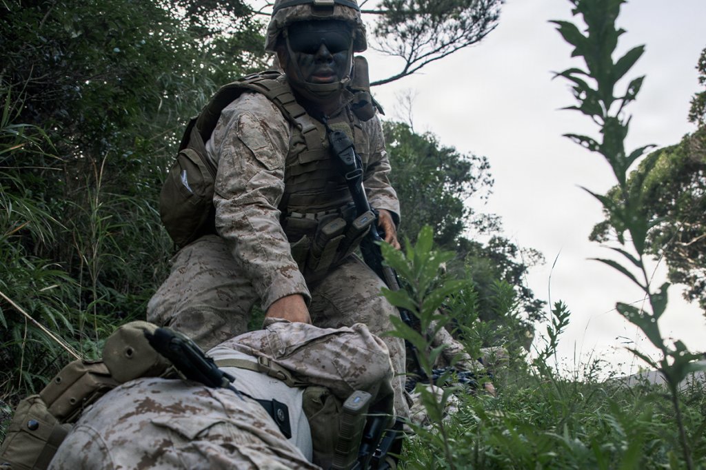 jungle warfare training 2026 golden hour dvids