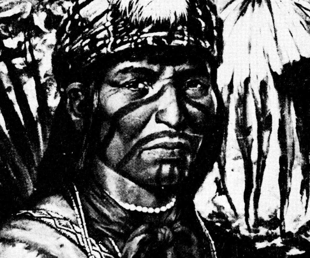 seminole war Coacoochee wild cat