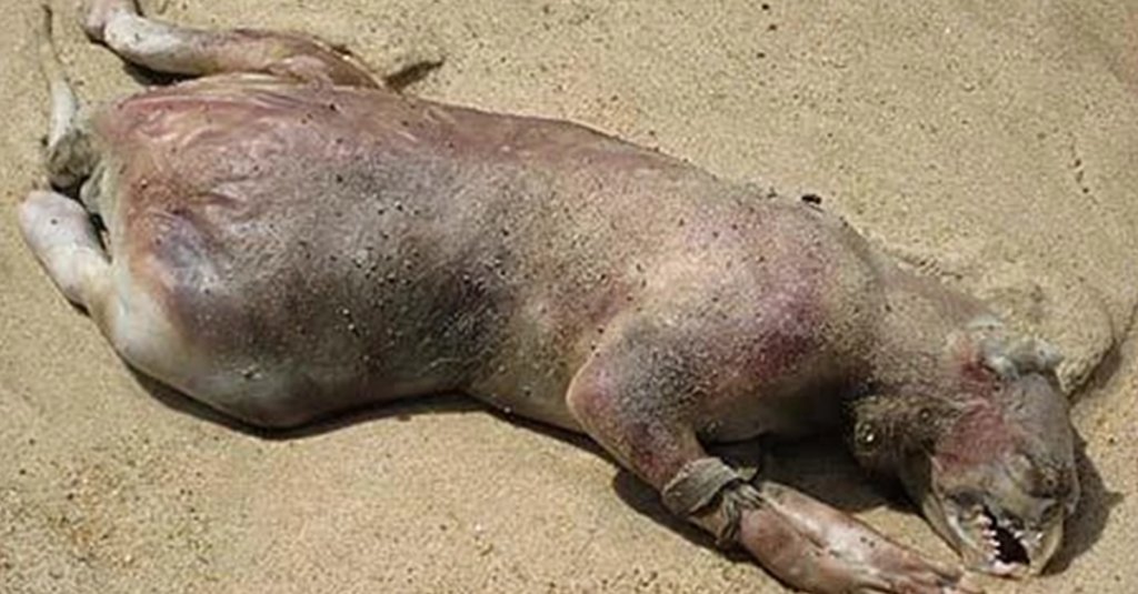 stranger things montauk monster