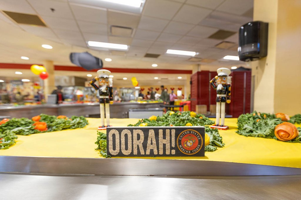 Marine Corps birthday