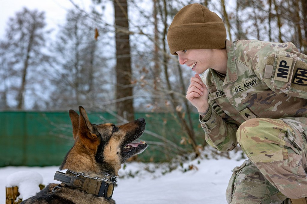 Military working dog handler