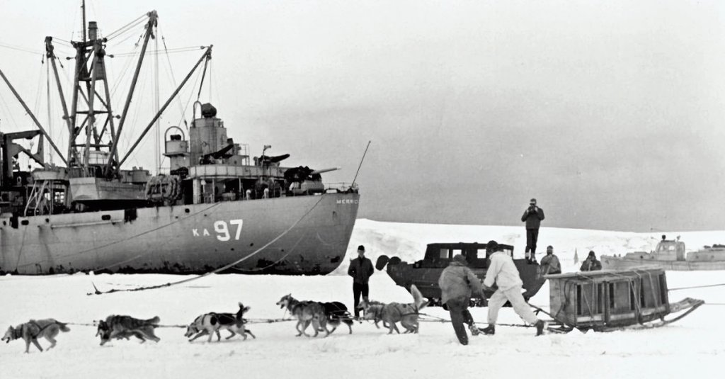 operation highjump navy antarctic sled dogs
