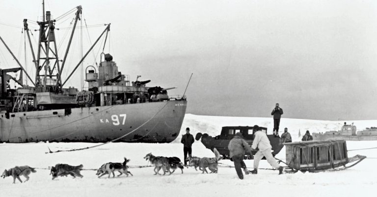 operation highjump navy antarctic sled dogs