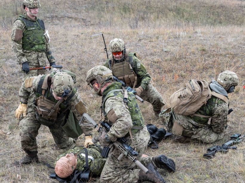 Canadian Modular Assault Rifle initiative using CMAR and C7