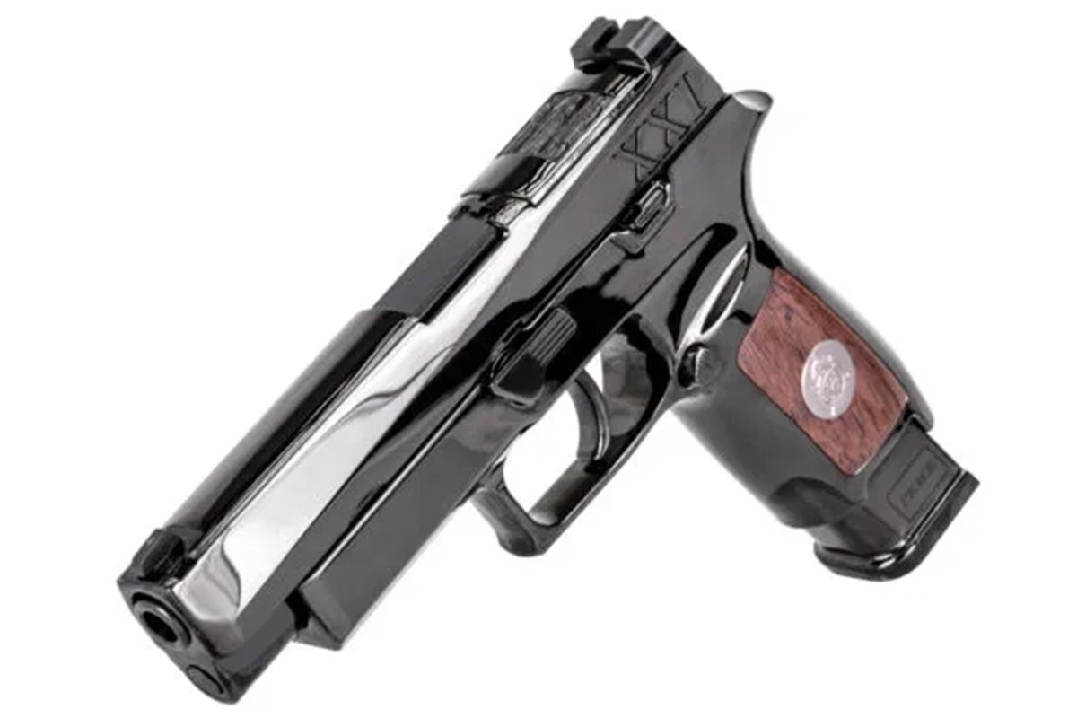 tomb of the unknown soldier pistol lateral view army