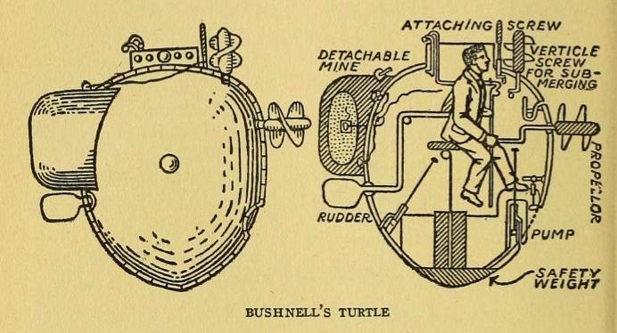 The Bushnell Turtle