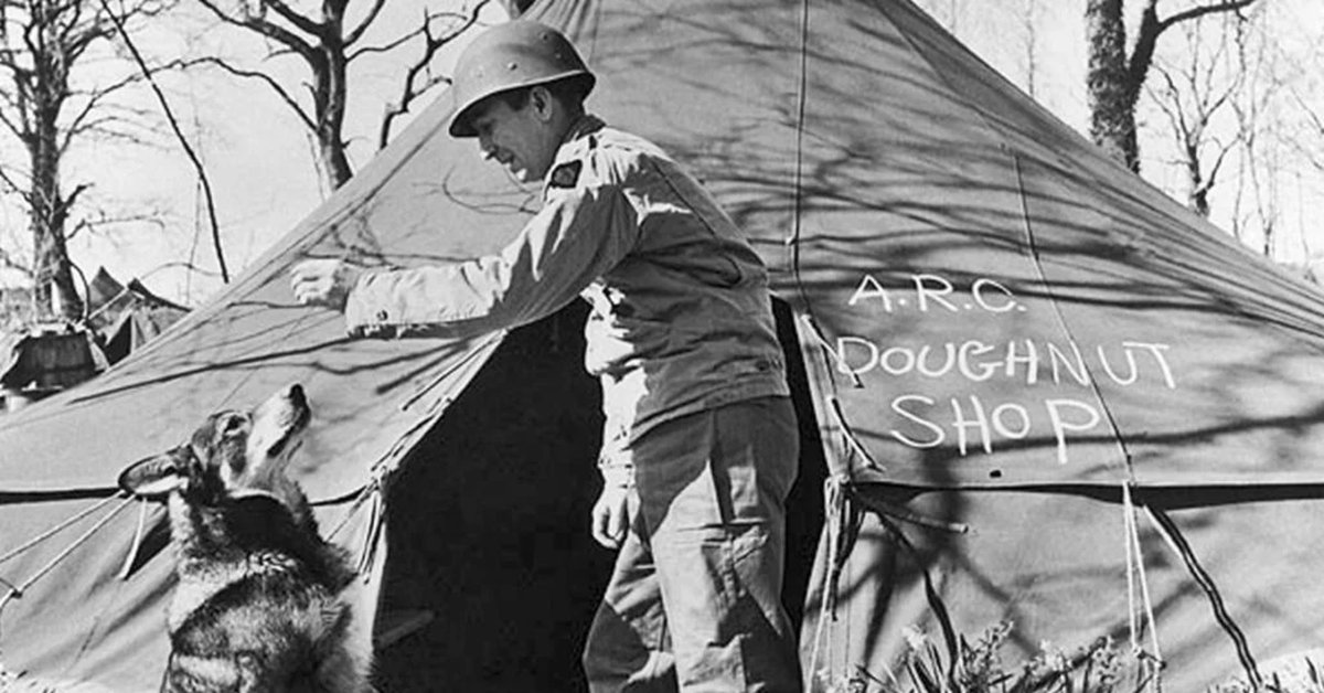 Meet the dog who went from a family pet to a World War II hero