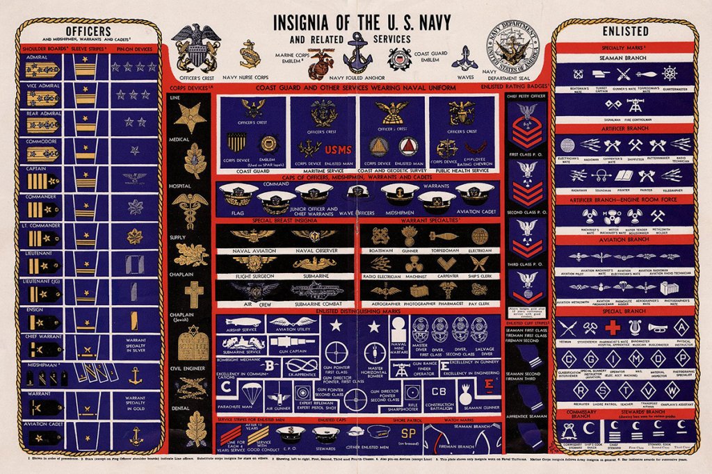 Navy ranks and insignia