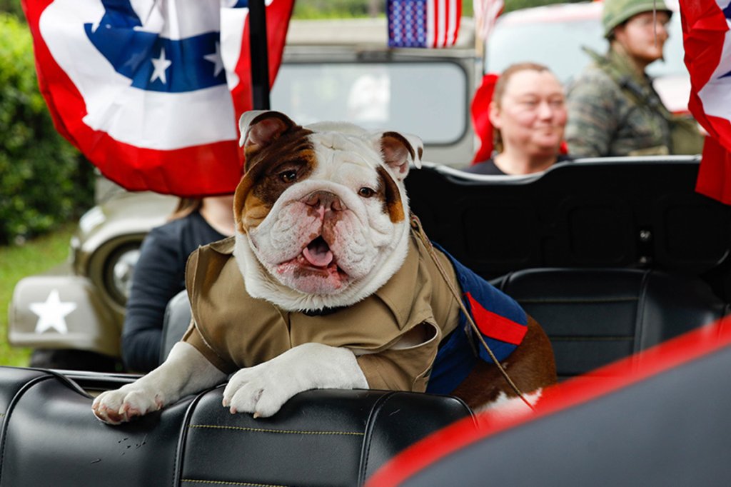 Marine Corps mascot
