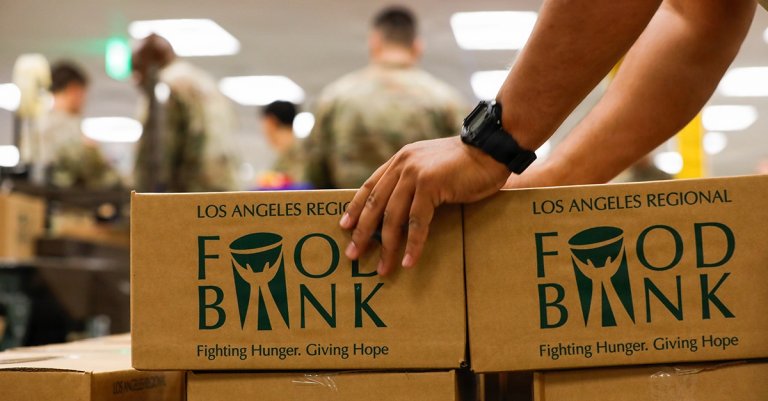 food insecurity report military families vids