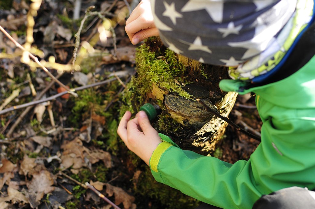 Geocaching
