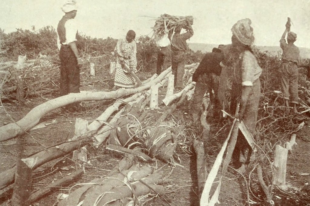 rorkes drift south africa colony 1870s