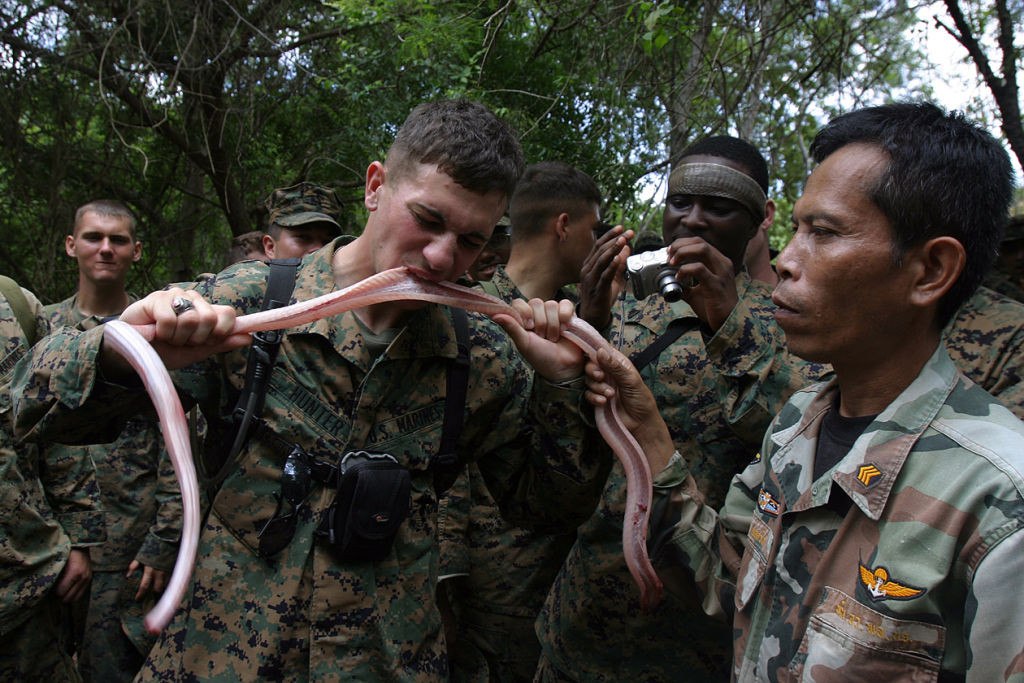 5 of the best jungle warfare training sites in the Marines