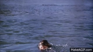 clint eastwood vietnam rescue