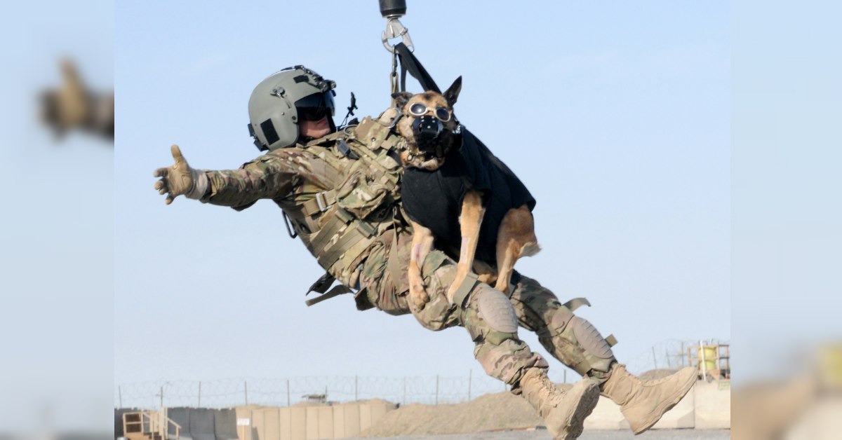 Watch Conan O’Brien train to be a military working dog