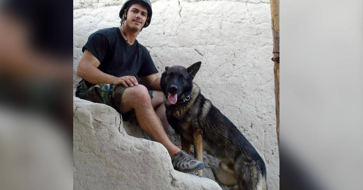 Military working dogs now guaranteed a trip home with their handlers