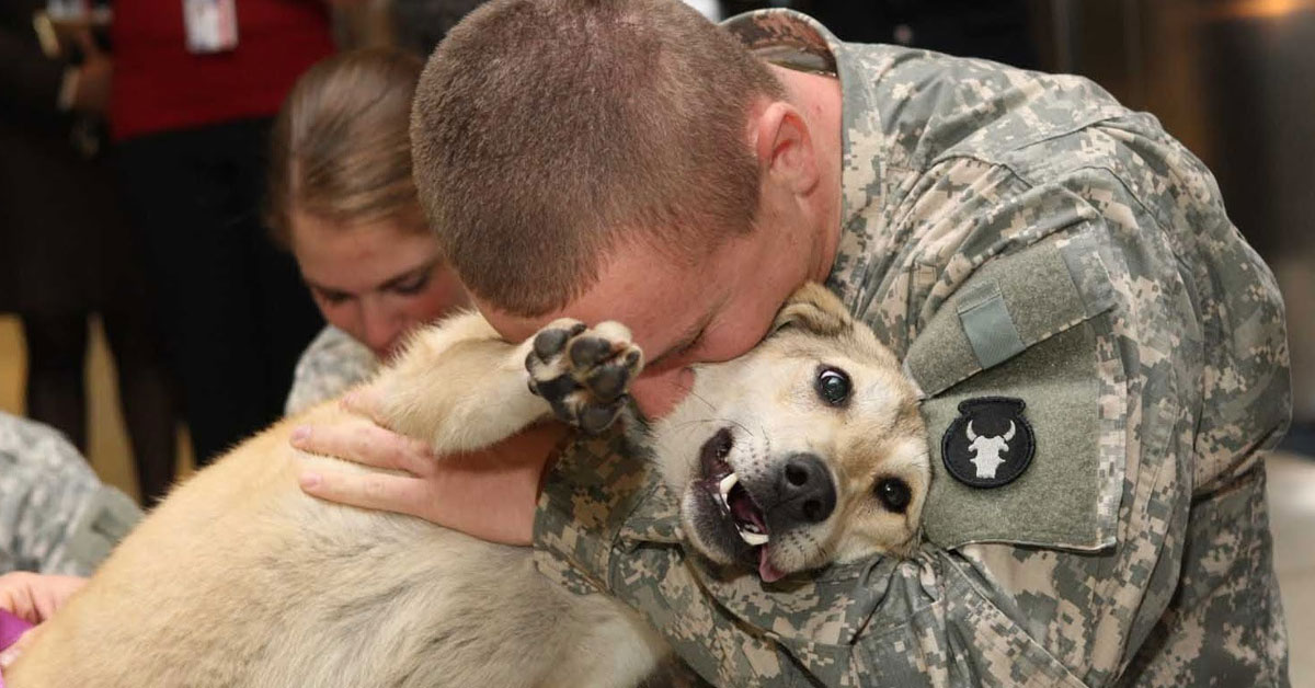 10 reasons all troops should have a pet