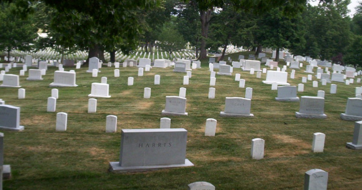 Arlington National Cemetery workers carried a WWII vet to see his wife’s grave