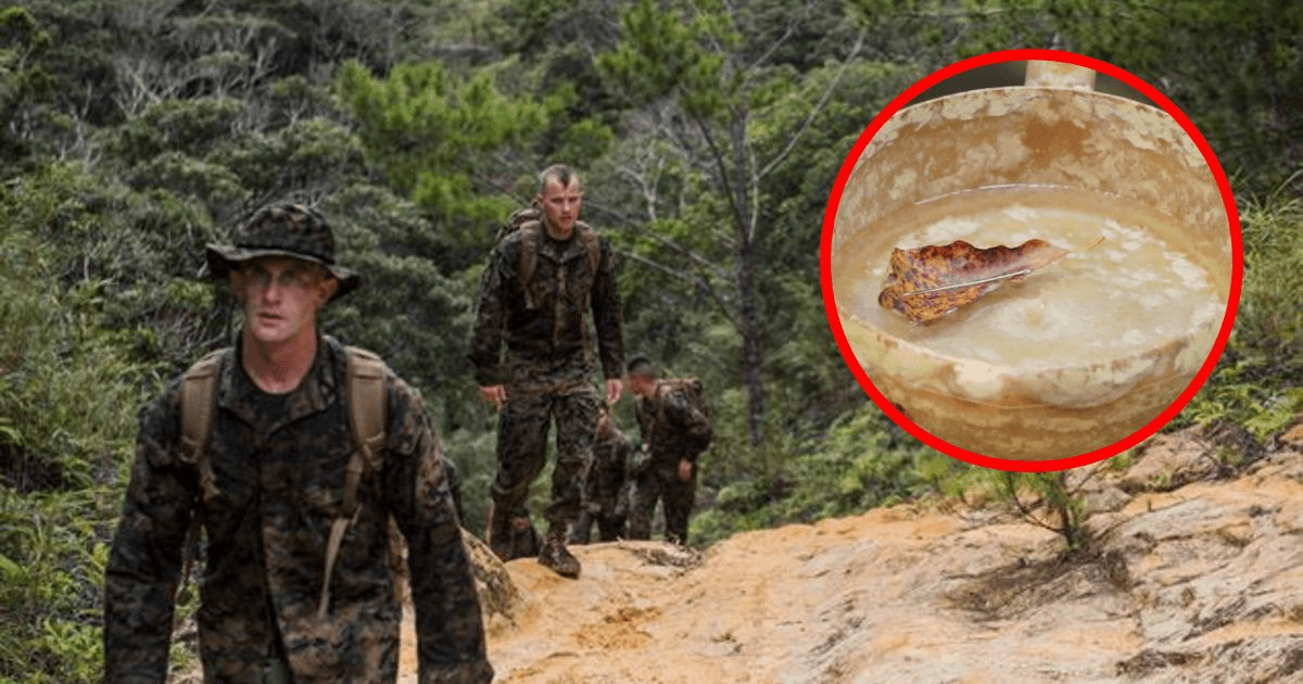 5 times using food as a weapon helped turn the tide of a battle