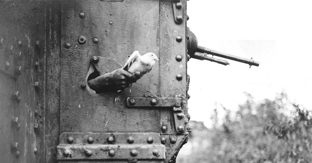 Why the first British tanks and bombers had pigeons on the crew