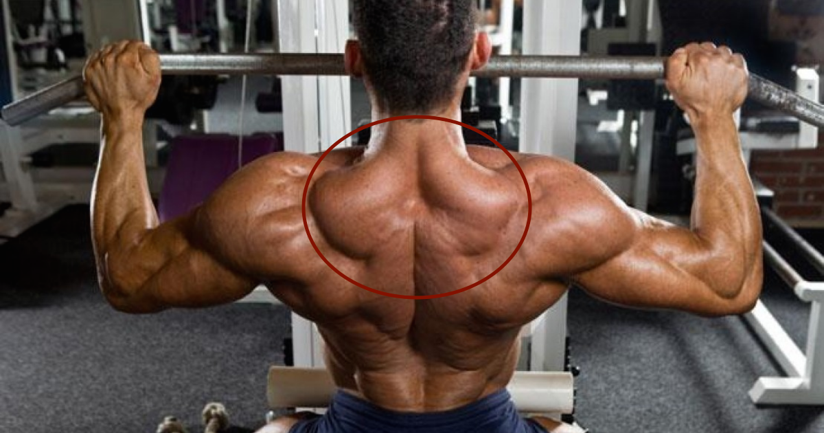 The Back Squat: The full-body exercise king