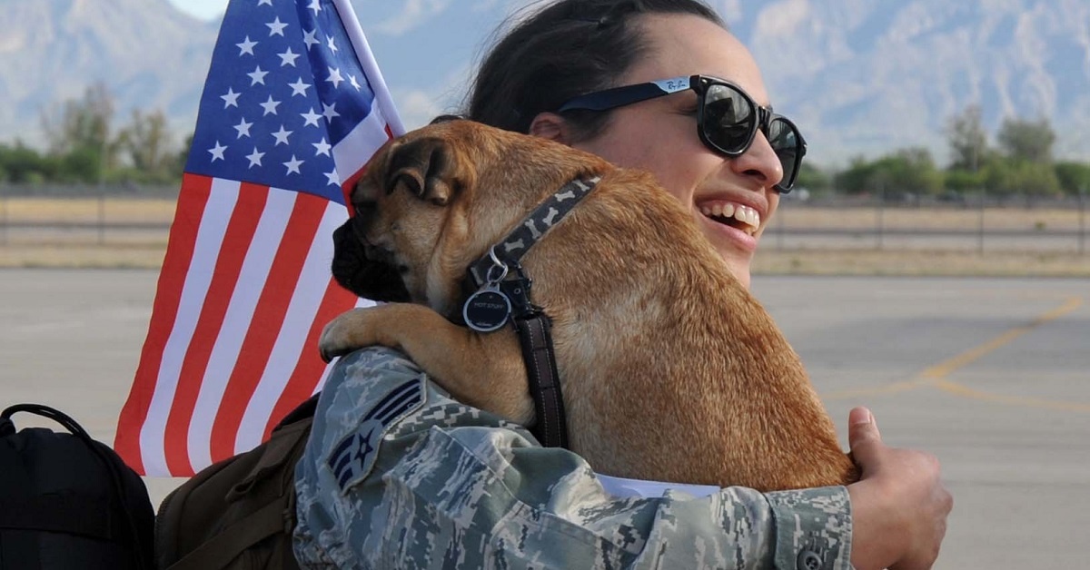 How troops can take care of their pets while deployed