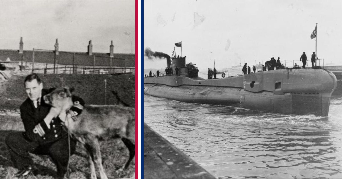 Why America’s World War II torpedoes were horrible