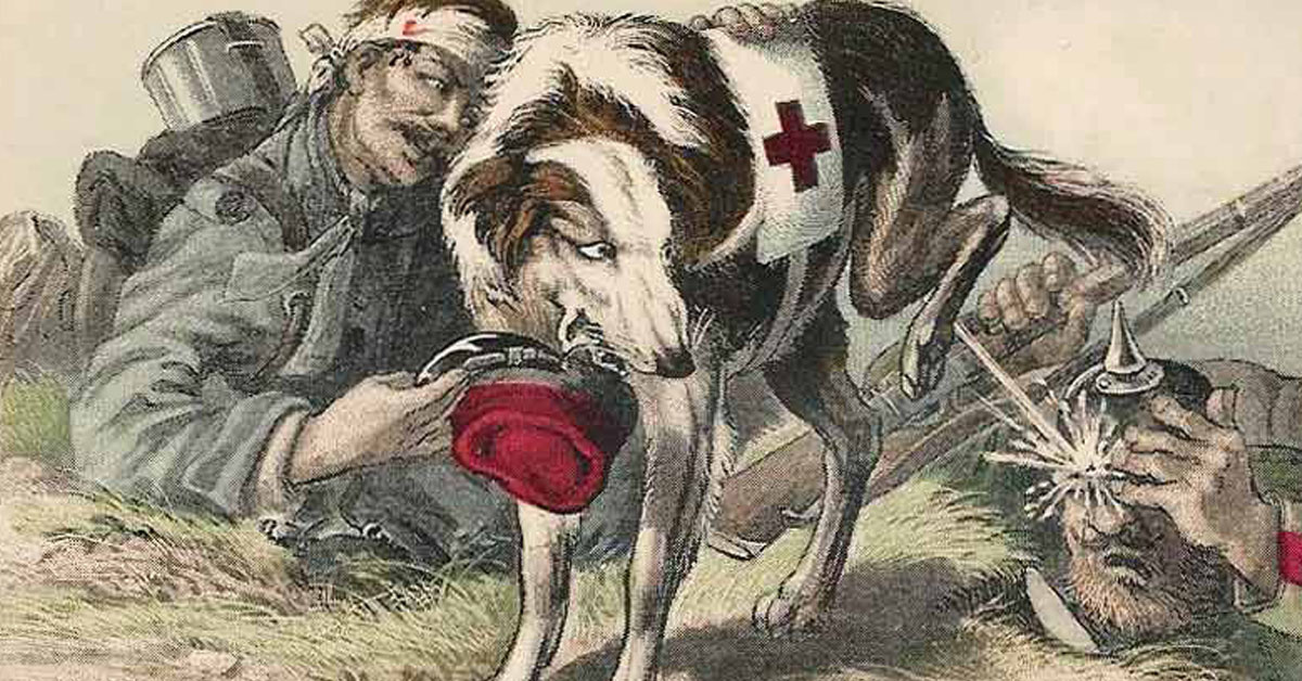 Why cats were the perfect companions in the trenches of WWI