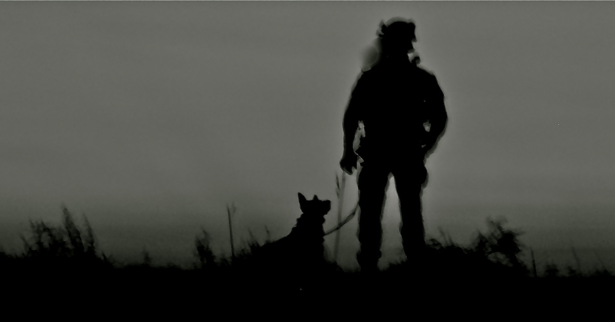 How it feels to get attacked by a military working dog