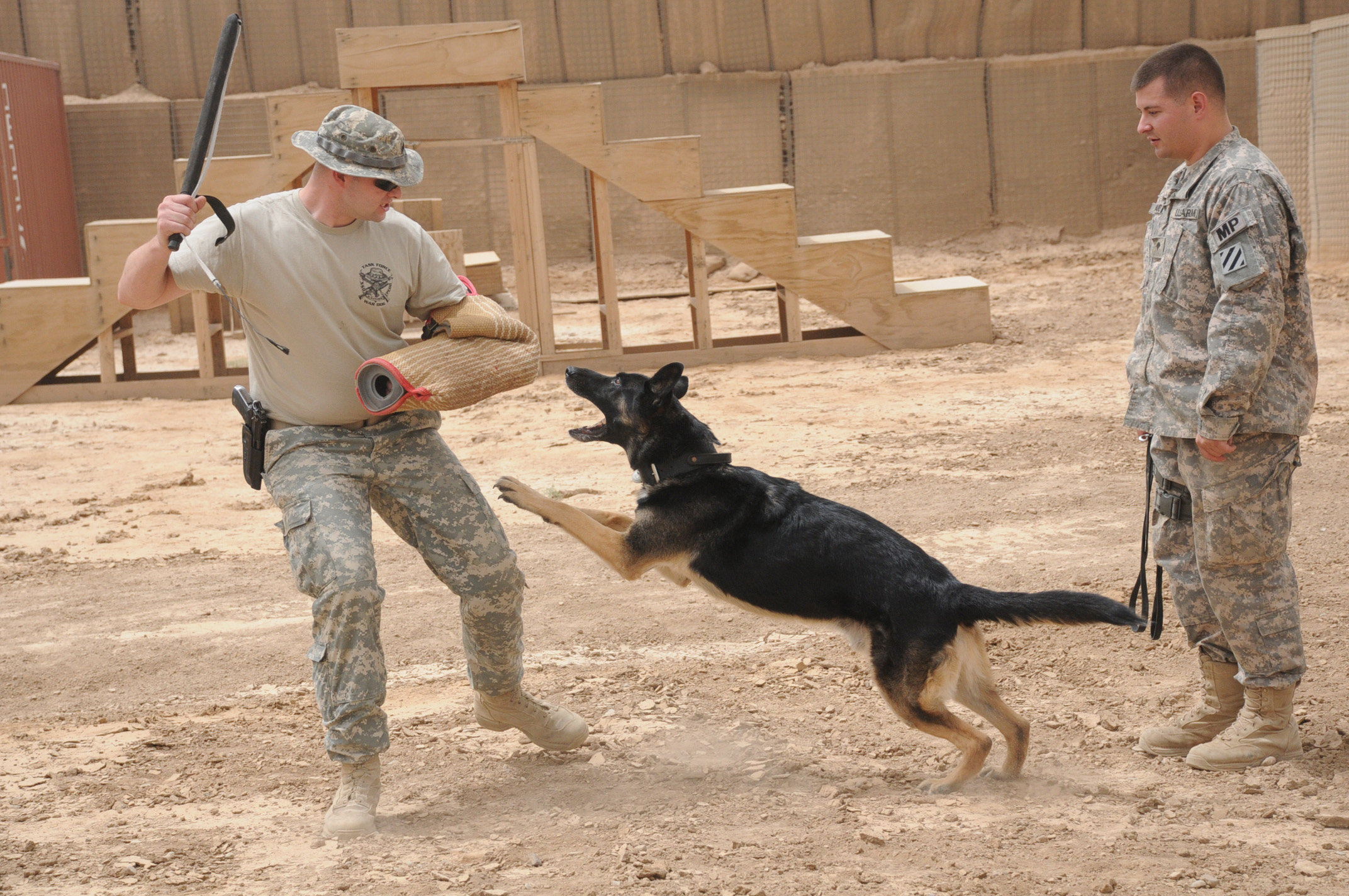 army canine training