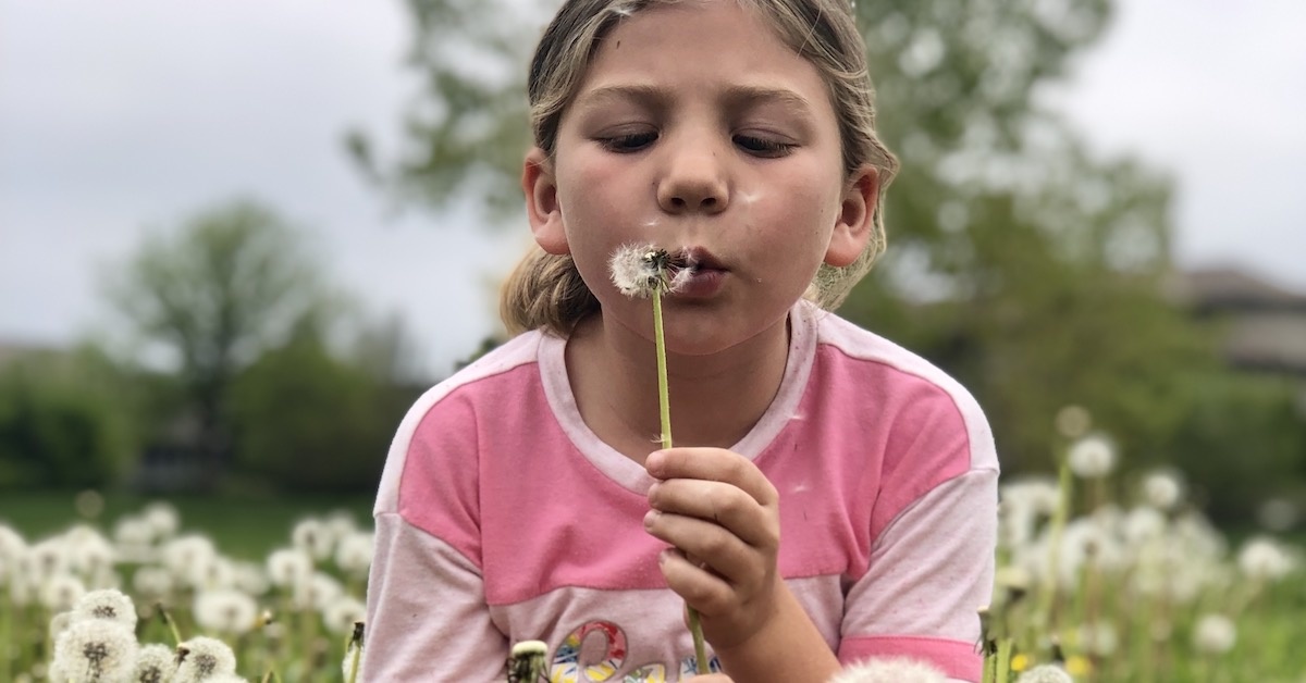 Why dandelions are the official flower of military kids